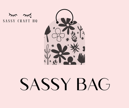 SASSY BAG SHOW 2-28-25 7PM EST